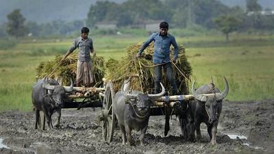 25,000 Indian Farmers Are Threatening to Kill Themselves Tomorrow
