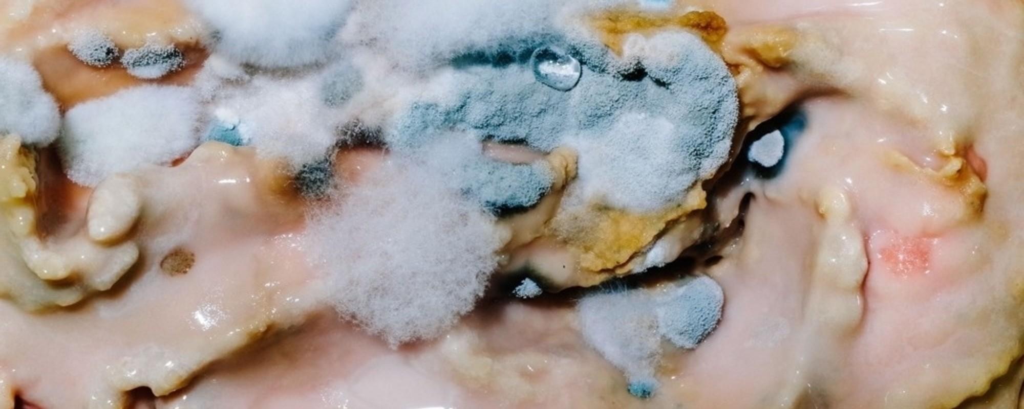 Comment Intégrer La Légion étrangère Française Dans un concours de beauté de la Légion étrangère | VICE | France