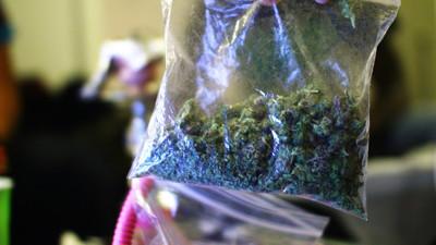 dating a weed dealer vice How to treat weed dealers, according to a weed dealer. dating a weed dealer vice How to treat weed dealers, according to a weed dealer.