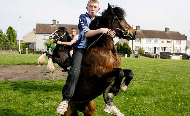 the-horse-riding-nike-wearing-tough-kids