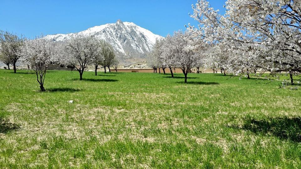 Gorgeous Photos of Afghanistan  s Peaceful Landscapes 