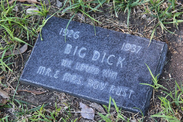 You Will Live Forever In Our Hearts Photos From A Pet Cemetery Vice