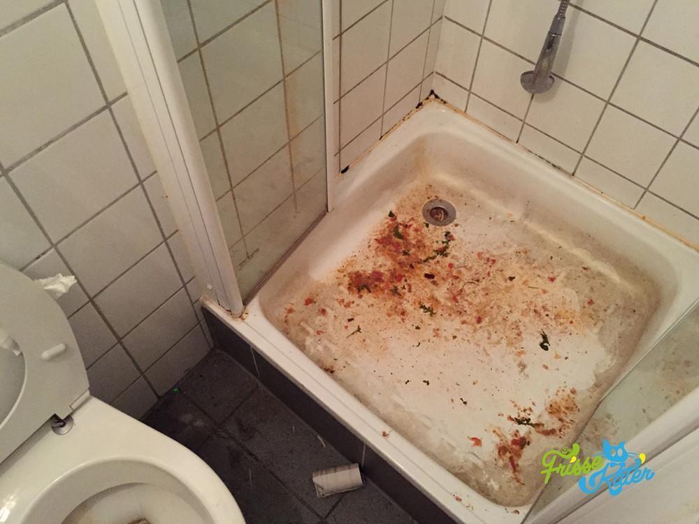 entreprise-nettoyage-post-fete-frisse-kater-body-image-1467209647-size_1000