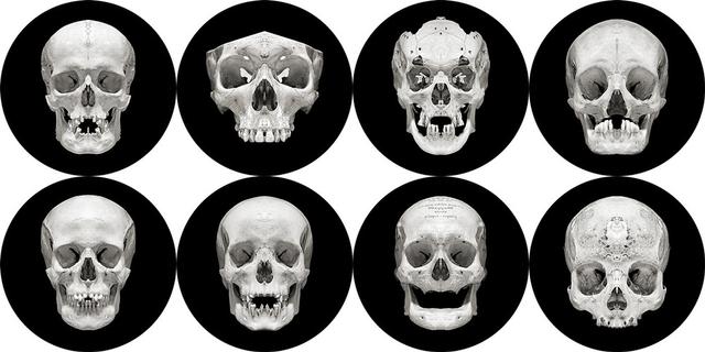 How To Tell Race By Skull How To Tell Race By Skull
