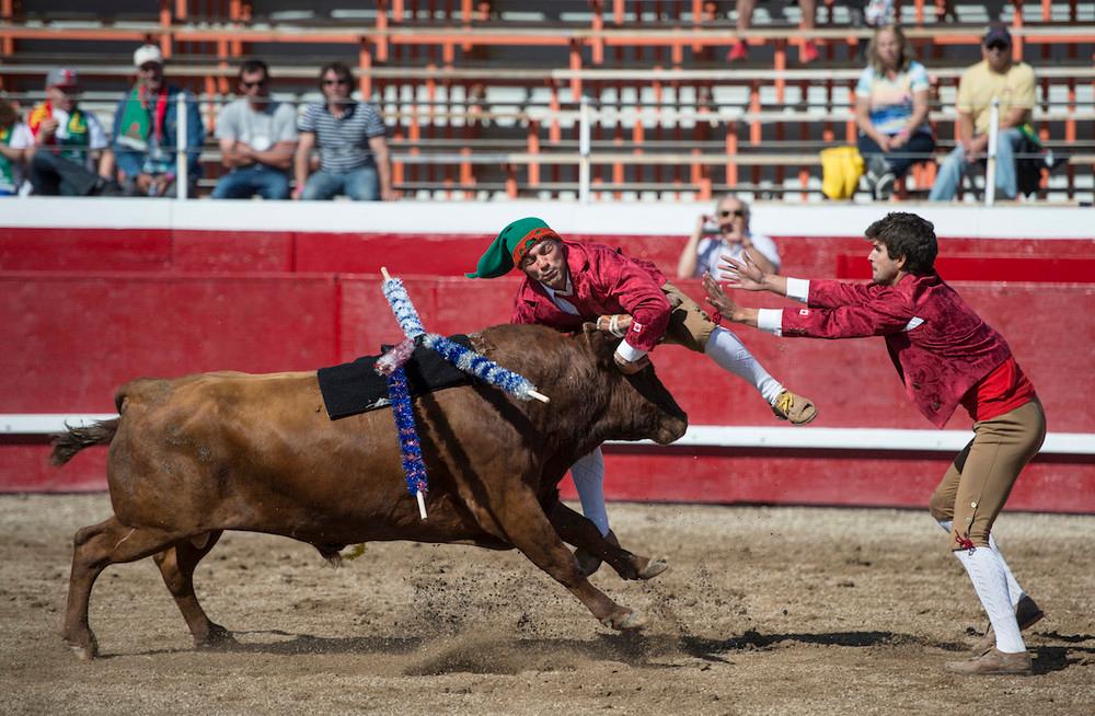 Photos from a Portuguese Bloodless Bullfighting Ring VICE United States