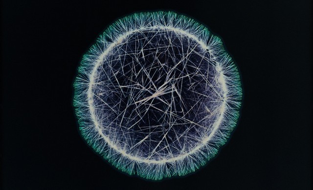 https://vice-images.vice.com/images/galleries/meta/2014/07/15/165063-1413260973568.jpeg