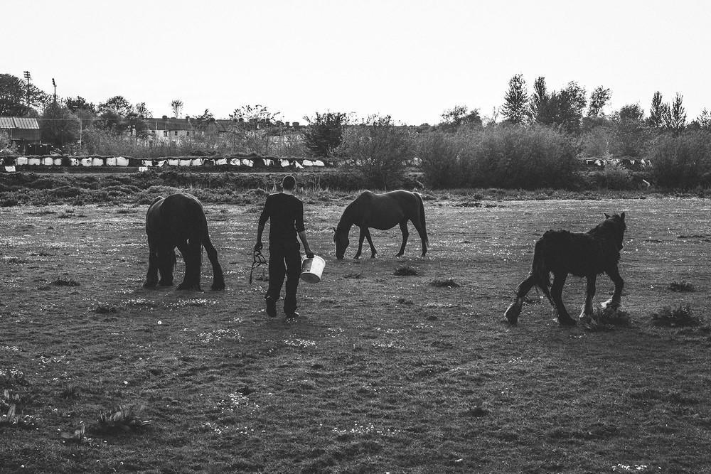 Ο γείτονας του Jordan βγαίνει έξω για να ταΐσει τα άλογα.