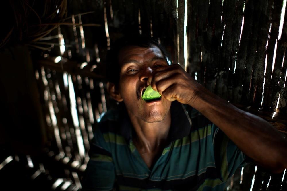 Ένας άνδρας τρώει mambe, μια μίξη από κονιορτοποιημένα φύλα κόκας. Κολομβία, 2015. 