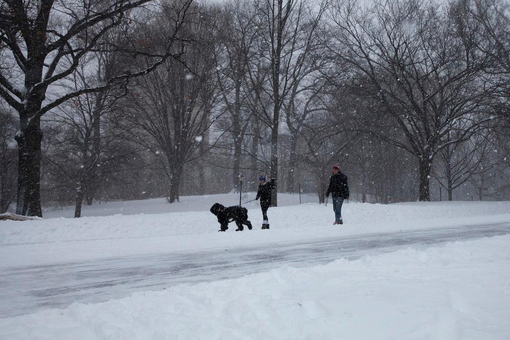 Scenes from NYC During the Blizzard That Rocked the City | VICE ...