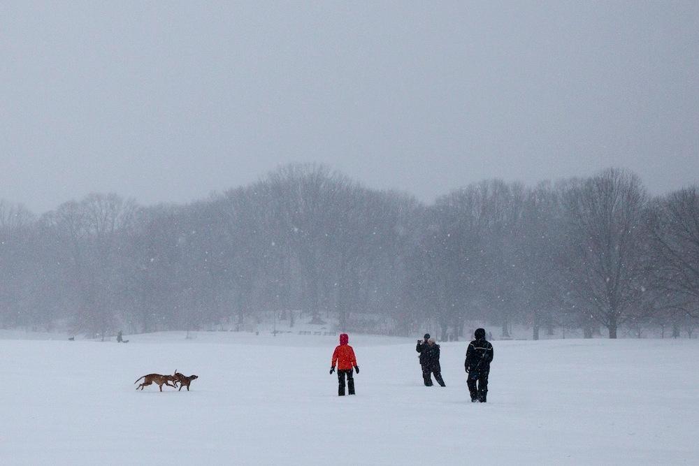 Scenes from NYC During the Blizzard That Rocked the City | VICE ...