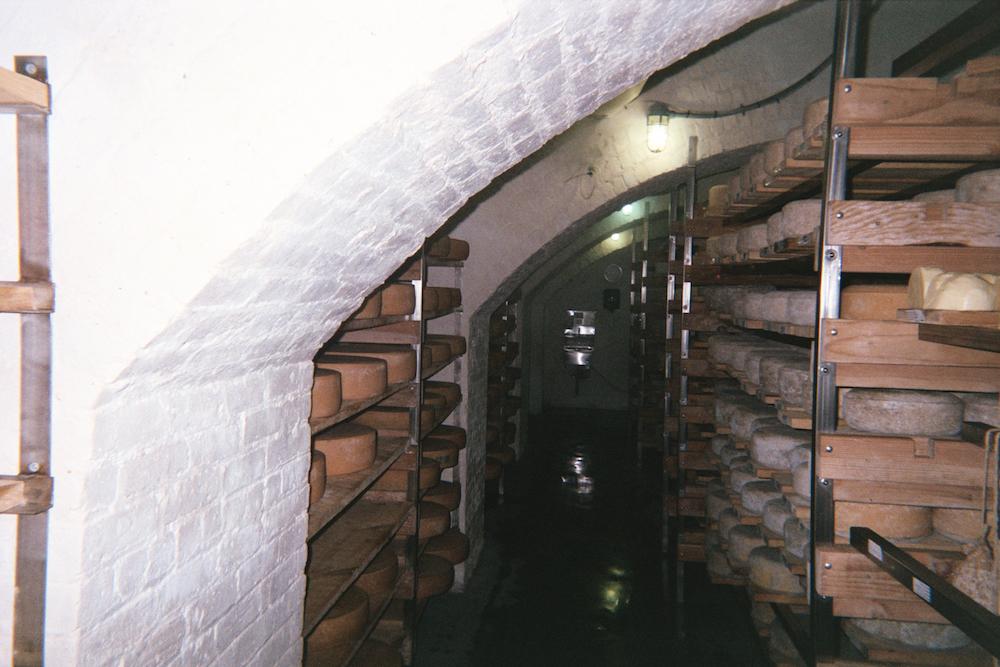 Photos of Fancy Cheese in an Underground 'Cheese Cave' VICE United States