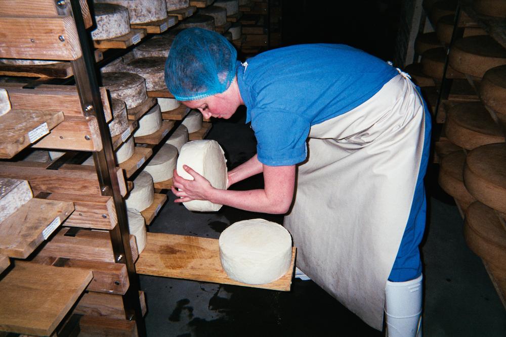 Photos of Fancy Cheese in an Underground 'Cheese Cave' VICE United